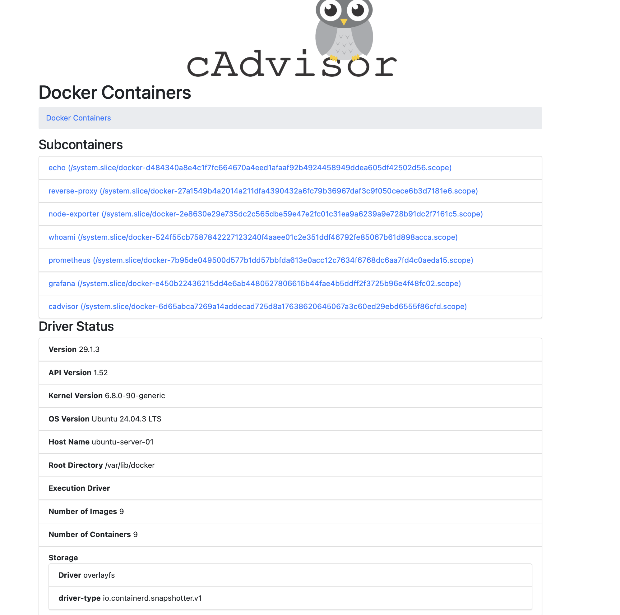 cAdvisor Container Overview